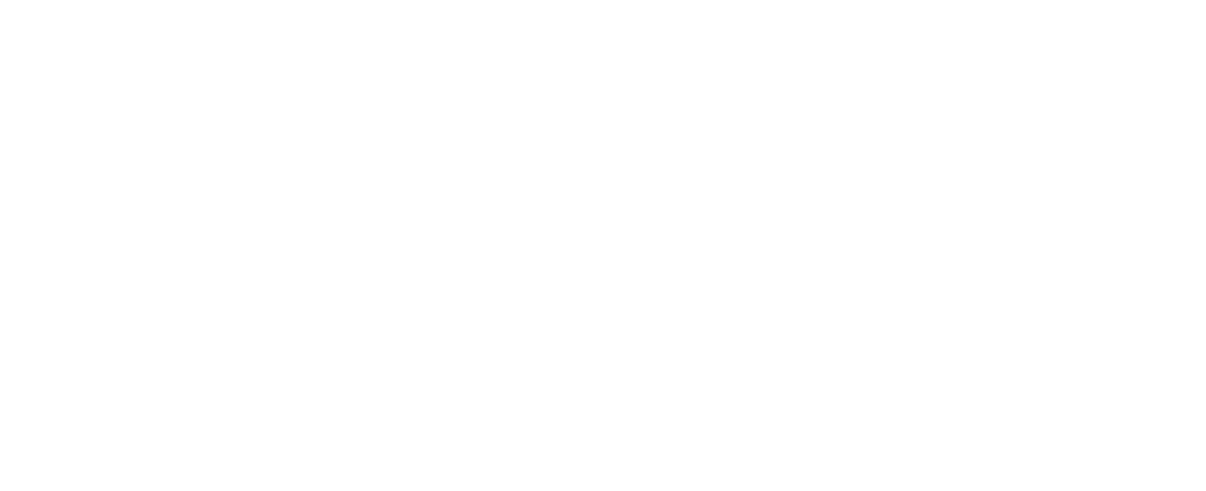 logo-white logo bianco di fondo perseo sirio